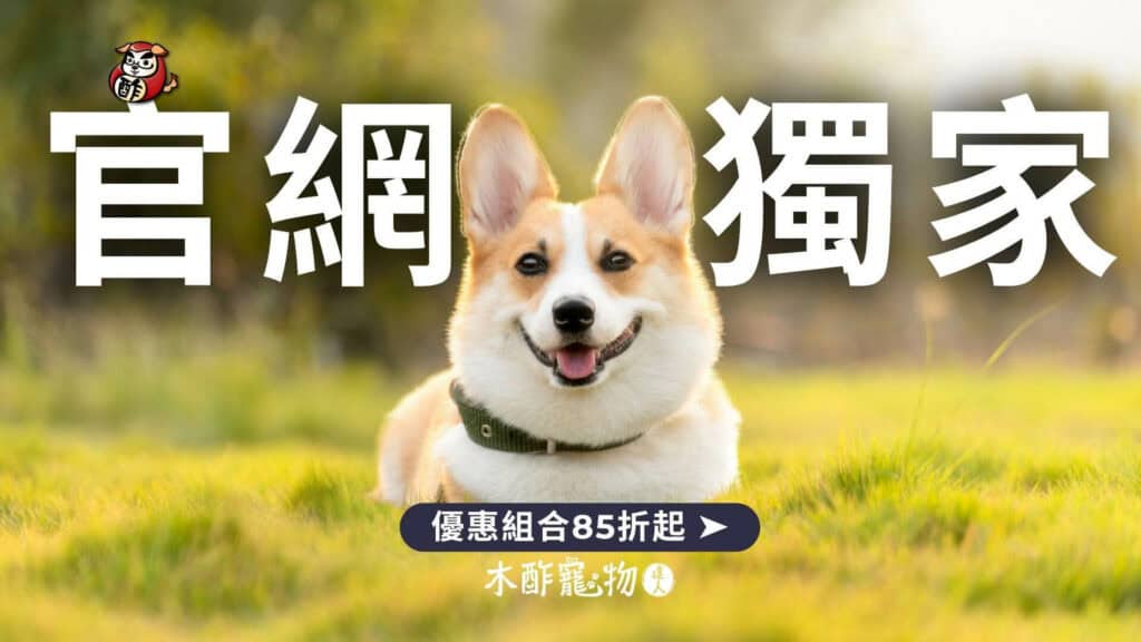 環境清潔對寵物健康的重要性｜打造無異味、安全的居家毛孩天堂
